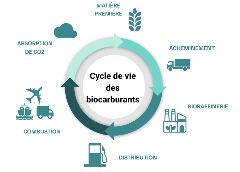 Bio-carburants et limites de ressources